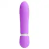 Image de Playful Mini Stimulateur Bullet