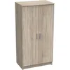 Image de Armoire multi usages - Armoire auxiliaire à 2 portes Range chaussures - L55xP36xH108cm - Décor chêne -DEMEYERE