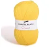 Image de Fil à tricoter - CHEVAL BLANC - ORIENT - 100% acrylique - 50g - Couleur Genêt - 081