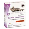 Image de Boulette de récupération nutritionnelle - Easypill - Chat - 2g - Boîte de 30 - Haute teneur énergétique