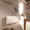 Image de Radiateur Oniris 750w Horizontal - Atlantic
