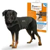 Image de Gilet relaxant pour Chiens - ThunderShirt - Taille L - Gris - Méthode douce et naturelle - Anti-anxiété