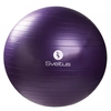 Image de Gymball + boîte Sveltus 75cm Violet 0445