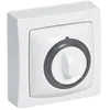 Image de LEGRAND Interrupteur temporisé lumineux saillie blanc