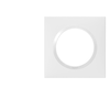 Image de Plaque de finition blanche simple Legrand Dooxie 600801