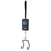 Image de VAR DV-71700 Bicycle portable digital scale Noir