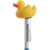 Image de Thermomètre Piscine Canard