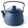 Image de Théière Fonte Beka Junna 1 L Ocean Filtre Inox Amovible 15 Cm