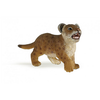 Image de Lionceau