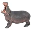 Image de Hippopotame Adulte