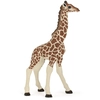 Image de Papo Girafon
