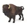 Image de Figurine Papo La Vie Sauvage 50119 Bison D'amerique Multicolor Pvc