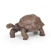 Image de LA VIE SAUVAGE Tortue des GalÃ¡pagos en occasion ou reconditionné