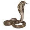 Image de Papo Cobra Royal