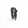 Image de Figurine Chimpanzé et son bébé - PAPO - LA VIE SAUVAGE - Intérieur - Mixte