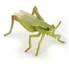 Image de Papo Sauterelle