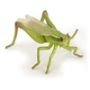 Image de Figurine Papo Sauterelle
