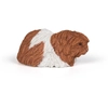 Image de Papo 50276 Figurine Pour Enfant