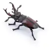Image de Papo 50281 Figurine Pour Enfant