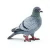 Image de 50295 - Pigeon Figurine
