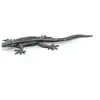 Image de 50300 - Lézard Commun -