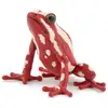 Image de 50315 - Figurine Papo Grenouille Fleche Tricolore