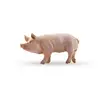 Image de Figurine Papo 51044 Verrat Multicolor Pvc