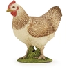 Image de Papo Poule Rousse