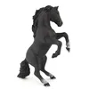 Image de CHEVAUX, POULAINS ET PONEYS Cheval cabrÃ© noir en occasion ou reconditionné