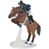 Image de Cheval de saut dobstacle et son cavalier