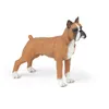 Image de Figurine Papo Le Chien Boxer Multicolor Pvc