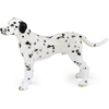 Image de Papo Dalmatien