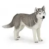 Image de Figurine Husky de Sibérie - PAPO - Pour Enfant de 3 ans et plus - Multicolore