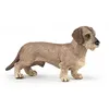Image de Papo - Figurine chien Teckel