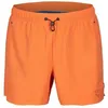 Image de Short de bain Arena Evo Solid