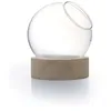 Image de Vase globe avec socle en Bois Ø10cm