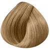 Image de LOréal Professionnel Paris - Coloration Permanente Majirel - 10.31 - Blond Très Très Clair Doré Cendré - 60ml