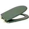 Image de Abattant WC coloris Vert