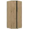 Image de Dressing d'angle 1 porte 1H3F750