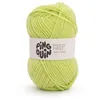 Image de Fil à tricoter PINGO FIRST - Pingouin - certifié Oeko-Tex(...) - Vert Anis