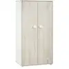 Image de Armoire 2 portes 168x85x57cm en bois BAB3500760101179