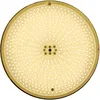 Image de Ampoule Couleur Pour Piscine 441 Led Mareva + Telecommande