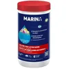 Image de Chlore Choc Action Rapide Galets 20g - 12kg Piscine