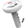 Image de Brome Pour Spa En Diffuseur Flottant Easyclic - Hth