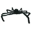 Image de Araignée Géante Velue - PTIT CLOWN - 10200 - Décoration Halloween - 52 cm - Noir