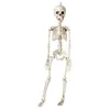 Image de Squelette Halloween à Suspendre - PTIT CLOWN - 13444 - Plastique - 40 cm