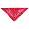 Image de Accessoire déguisement - 20 - Bandana en tissu - Blanc - 55cm x 55cm - Mixte