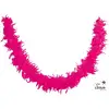 Image de Boa À Plumes - Fuchsia - 160 Cm - Déguisement - Fête - Soirées - Cabaret - Charleston