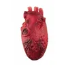 Image de Faux coeur sanglant - PTIT CLOWN - 21900 - Décoration Halloween - Plastique - Rouge
