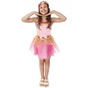 Image de P'tit Clown - 24110 - Costume Fée - Rose - Enfant - 7/9 Ans - Taille 7-9 Ans